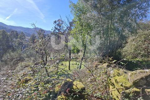Helårsgrund i Arcos de Valdevez, Viana do Castelo, Arcos de Valdevez - € 25.000 | Ref: UNU.I.239.23362 - foto 11