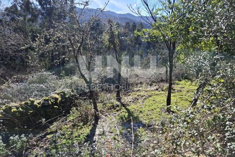 Helårsgrund i Arcos de Valdevez, Viana do Castelo, Arcos de Valdevez - € 25.000 | Ref: UNU.I.239.23362 - foto 12