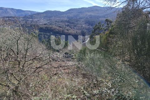 Helårsgrund i Arcos de Valdevez, Viana do Castelo, Arcos de Valdevez - € 25.000 | Ref: UNU.I.239.23362 - foto 13