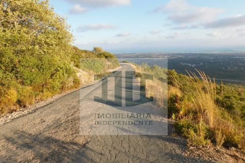 Villa en Moncarapacho, Faro, Moncarapacho - € 499.000 | Ref: HAB_284 - photo 22