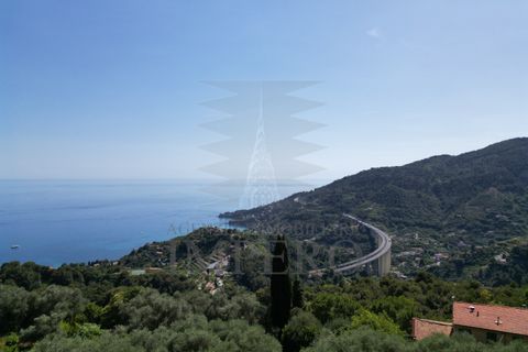 Villa i Ventimiglia, Imperia, Ventimiglia - € 690.000 | Ref: 23964 - foto 46