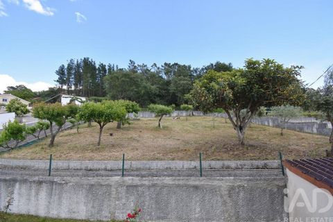 Byhus i Penela, Coimbra, Penela - € 450.000 | Ref: 957382 - foto 16