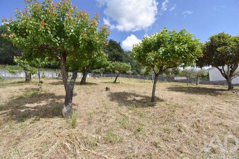 Byhus i Penela, Coimbra, Penela - € 450.000 | Ref: 957382 - foto 33