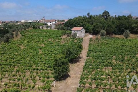 Granja a Nelas, Viseu, Nelas - € 690.000 | Ref: 950257 - foto 3