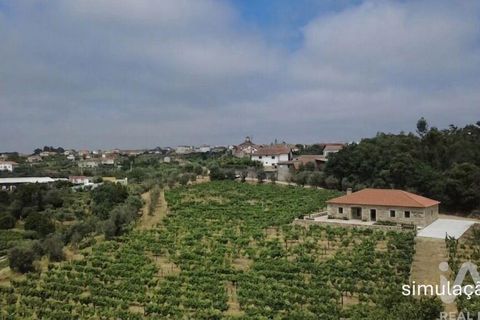 Granja a Nelas, Viseu, Nelas - € 690.000 | Ref: 950257 - foto 4