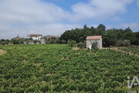 Granja a Nelas, Viseu, Nelas - € 690.000 | Ref: 950257 - foto 5