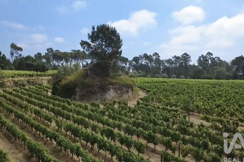 Granja a Nelas, Viseu, Nelas - € 690.000 | Ref: 950257 - foto 10