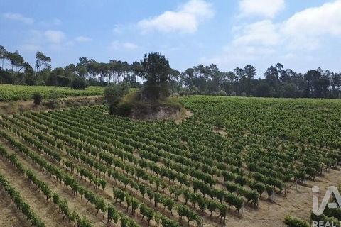 Granja a Nelas, Viseu, Nelas - € 690.000 | Ref: 950257 - foto 11
