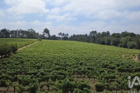 Granja a Nelas, Viseu, Nelas - € 690.000 | Ref: 950257 - foto 12