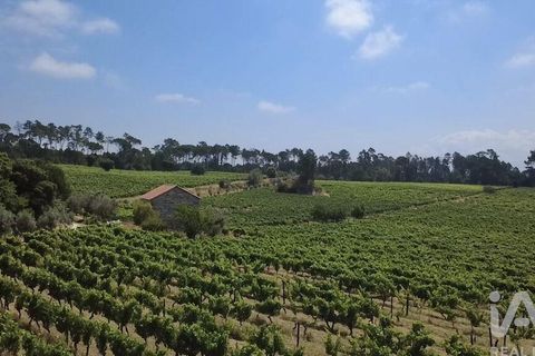 Granja a Nelas, Viseu, Nelas - € 690.000 | Ref: 950257 - foto 13