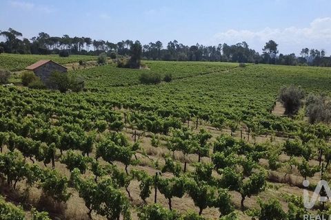 Granja a Nelas, Viseu, Nelas - € 690.000 | Ref: 950257 - foto 14