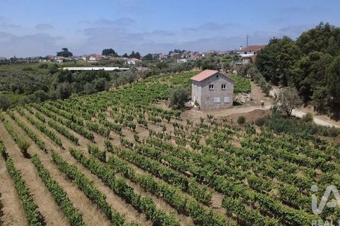Granja a Nelas, Viseu, Nelas - € 690.000 | Ref: 950257 - foto 19