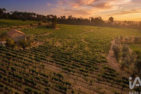 Granja a Nelas, Viseu, Nelas - € 690.000 | Ref: 950257 - foto 21