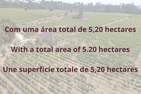 Granja a Nelas, Viseu, Nelas - € 690.000 | Ref: 950257 - foto 23