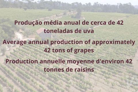 Granja a Nelas, Viseu, Nelas - € 690.000 | Ref: 950257 - foto 24