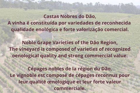 Granja a Nelas, Viseu, Nelas - € 690.000 | Ref: 950257 - foto 25