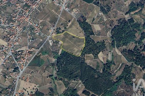 Granja a Nelas, Viseu, Nelas - € 690.000 | Ref: 950257 - foto 30