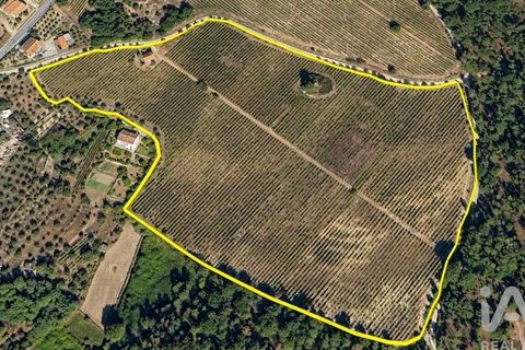 Granja a Nelas, Viseu, Nelas - € 690.000 | Ref: 950257 - foto 31