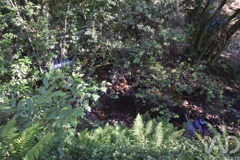 Terra a Penela, Coimbra, Penela - € 20.000 | Ref: 957522 - foto 3