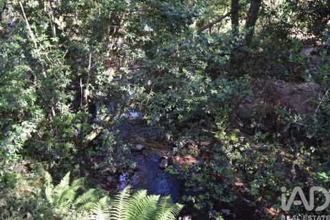 Terra a Penela, Coimbra, Penela - € 20.000 | Ref: 957522 - foto 4