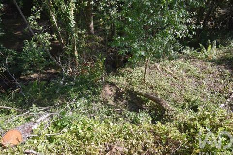 Terra a Penela, Coimbra, Penela - € 20.000 | Ref: 957522 - foto 5