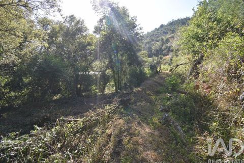 Terra a Penela, Coimbra, Penela - € 20.000 | Ref: 957522 - foto 6