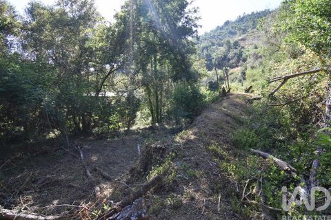 Terra a Penela, Coimbra, Penela - € 20.000 | Ref: 957522 - foto 7