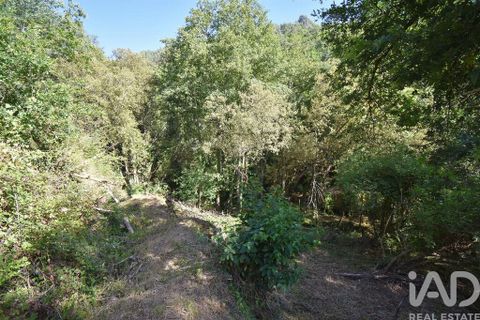 Terra a Penela, Coimbra, Penela - € 20.000 | Ref: 957522 - foto 8