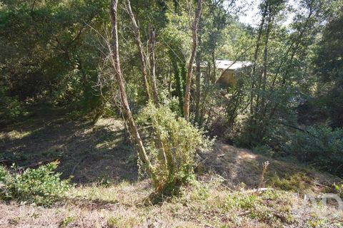 Terra a Penela, Coimbra, Penela - € 20.000 | Ref: 957522 - foto 9