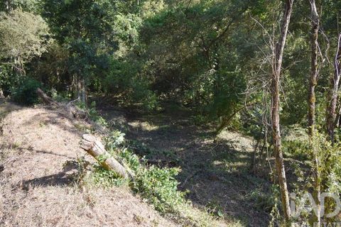 Terra a Penela, Coimbra, Penela - € 20.000 | Ref: 957522 - foto 10