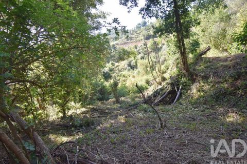 Terra a Penela, Coimbra, Penela - € 20.000 | Ref: 957522 - foto 11