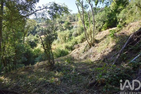Terra a Penela, Coimbra, Penela - € 20.000 | Ref: 957522 - foto 12