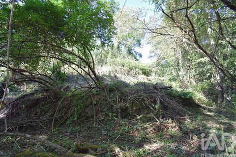 Terra a Penela, Coimbra, Penela - € 20.000 | Ref: 957522 - foto 13
