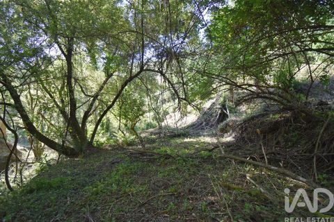 Terra a Penela, Coimbra, Penela - € 20.000 | Ref: 957522 - foto 14