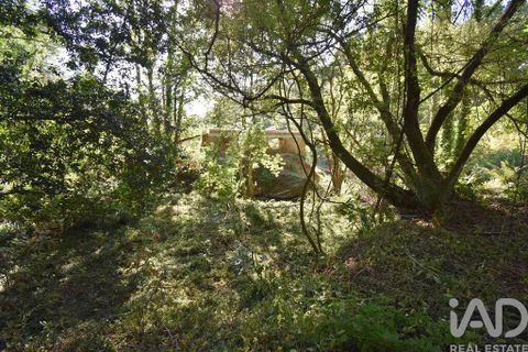 Terra a Penela, Coimbra, Penela - € 20.000 | Ref: 957522 - foto 15