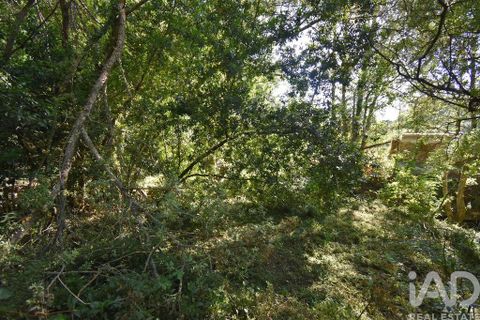 Terra a Penela, Coimbra, Penela - € 20.000 | Ref: 957522 - foto 16