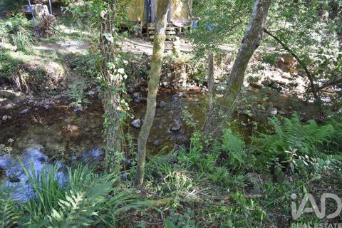 Terra a Penela, Coimbra, Penela - € 20.000 | Ref: 957522 - foto 17