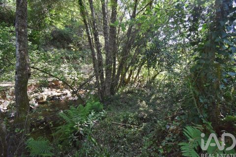 Terra a Penela, Coimbra, Penela - € 20.000 | Ref: 957522 - foto 18