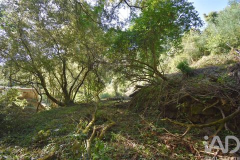 Terra a Penela, Coimbra, Penela - € 20.000 | Ref: 957522 - foto 19