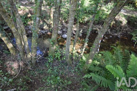 Terra a Penela, Coimbra, Penela - € 20.000 | Ref: 957522 - foto 20