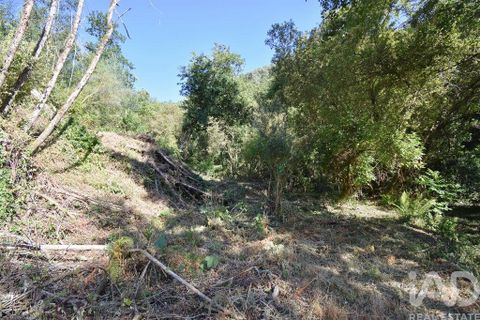 Terra a Penela, Coimbra, Penela - € 20.000 | Ref: 957522 - foto 23