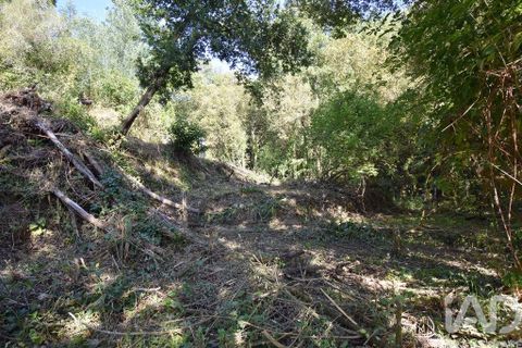 Terra a Penela, Coimbra, Penela - € 20.000 | Ref: 957522 - foto 24