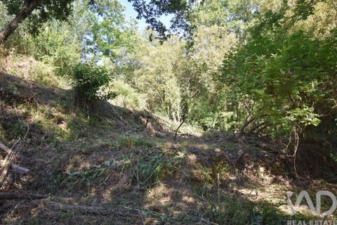 Terra a Penela, Coimbra, Penela - € 20.000 | Ref: 957522 - foto 25