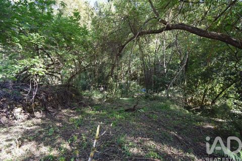 Terra a Penela, Coimbra, Penela - € 20.000 | Ref: 957522 - foto 26