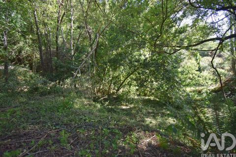 Terra a Penela, Coimbra, Penela - € 20.000 | Ref: 957522 - foto 27