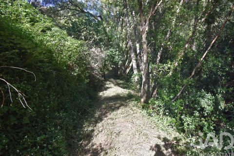 Terra a Penela, Coimbra, Penela - € 20.000 | Ref: 957522 - foto 28