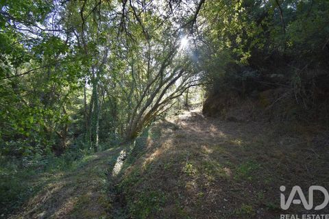 Terra a Penela, Coimbra, Penela - € 20.000 | Ref: 957522 - foto 29