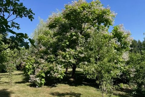 Bungalow i Rochechouart, Haute-Vienne, Rochechouart - € 199.800 | Ref: BVI86081 - foto 2