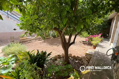 Rækkehus i Sa Pobla, Mallorca, Sa Pobla - € 495.000 | Ref: 83922 - foto 2