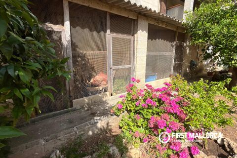 Rækkehus i Sa Pobla, Mallorca, Sa Pobla - € 495.000 | Ref: 83922 - foto 24